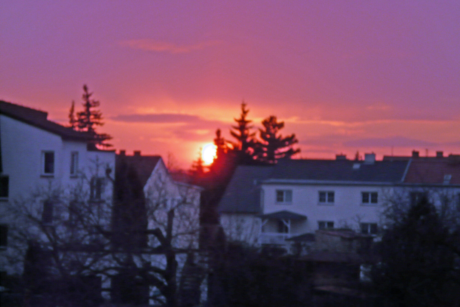 P1020538_upravený-1.jpg