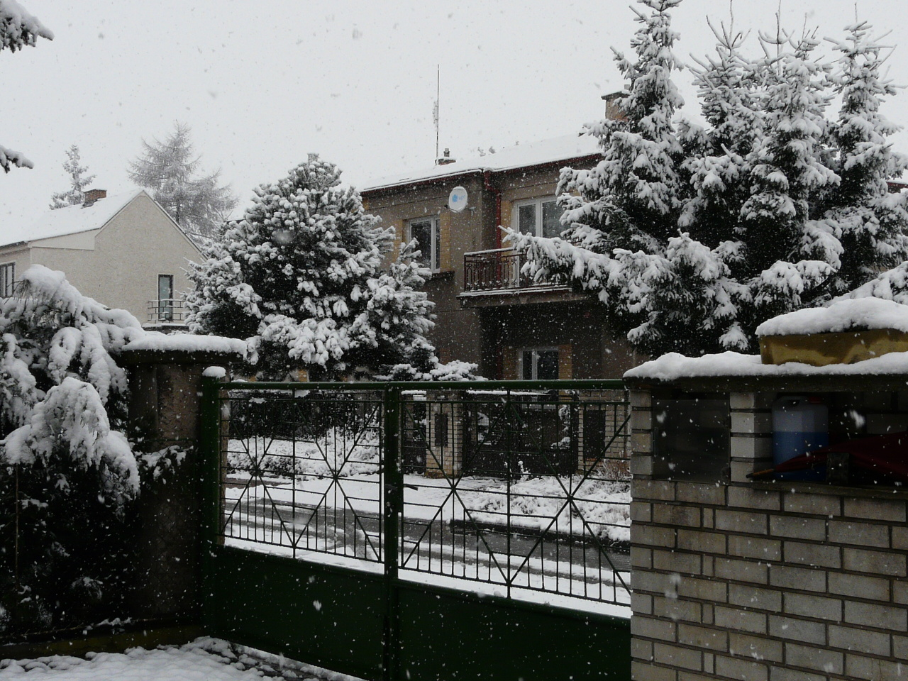 P1020740.jpg